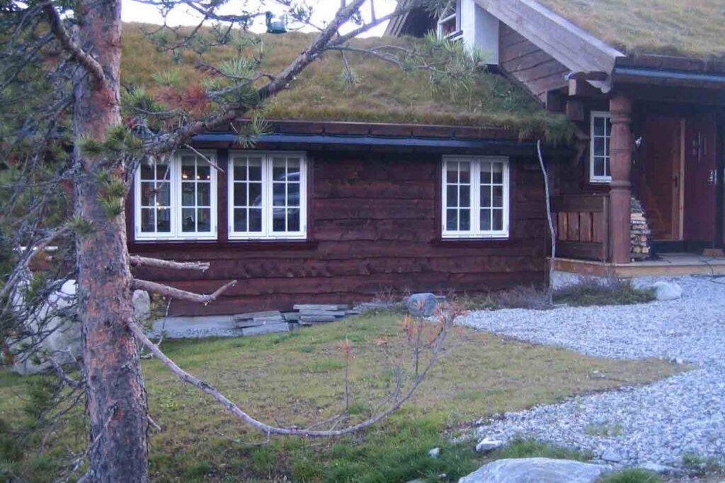 rodbrun-tommerolje-1024×878 hytta råtner