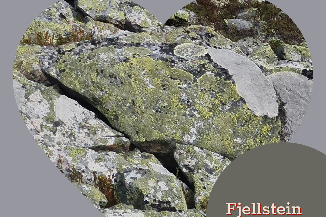 November_2023 November måneds farge