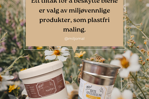 Bienes dag _ Bienes uvurderlige bidrag